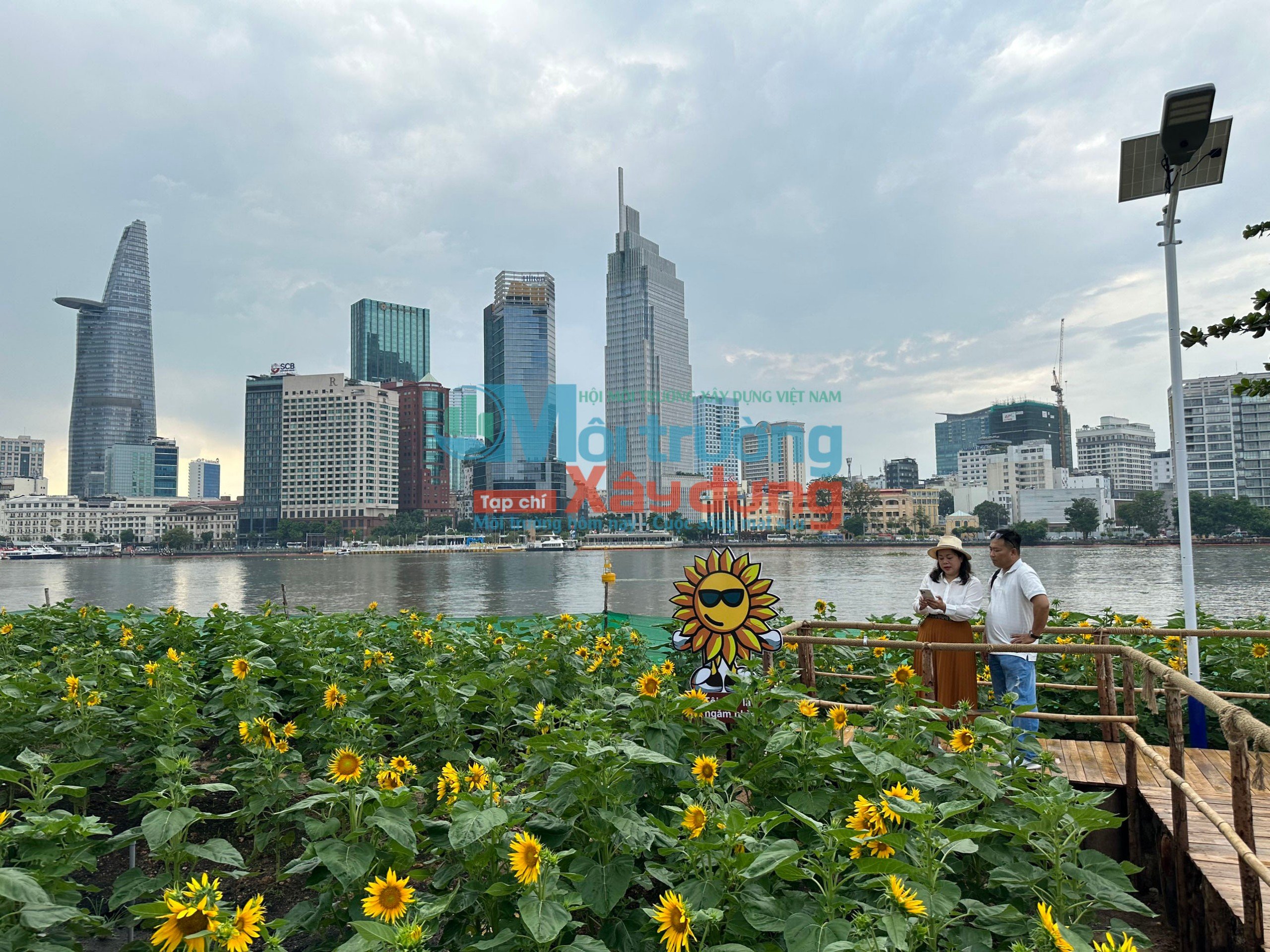 Thủ Đức – TP.HCM: Cánh đồng hoa hướng dương dọc bờ sông Sài Gòn chính thức đón khách dịp Tết năm 2024